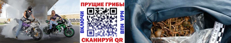 Галлюциногенные грибы Magic Shrooms наркошоп Старица